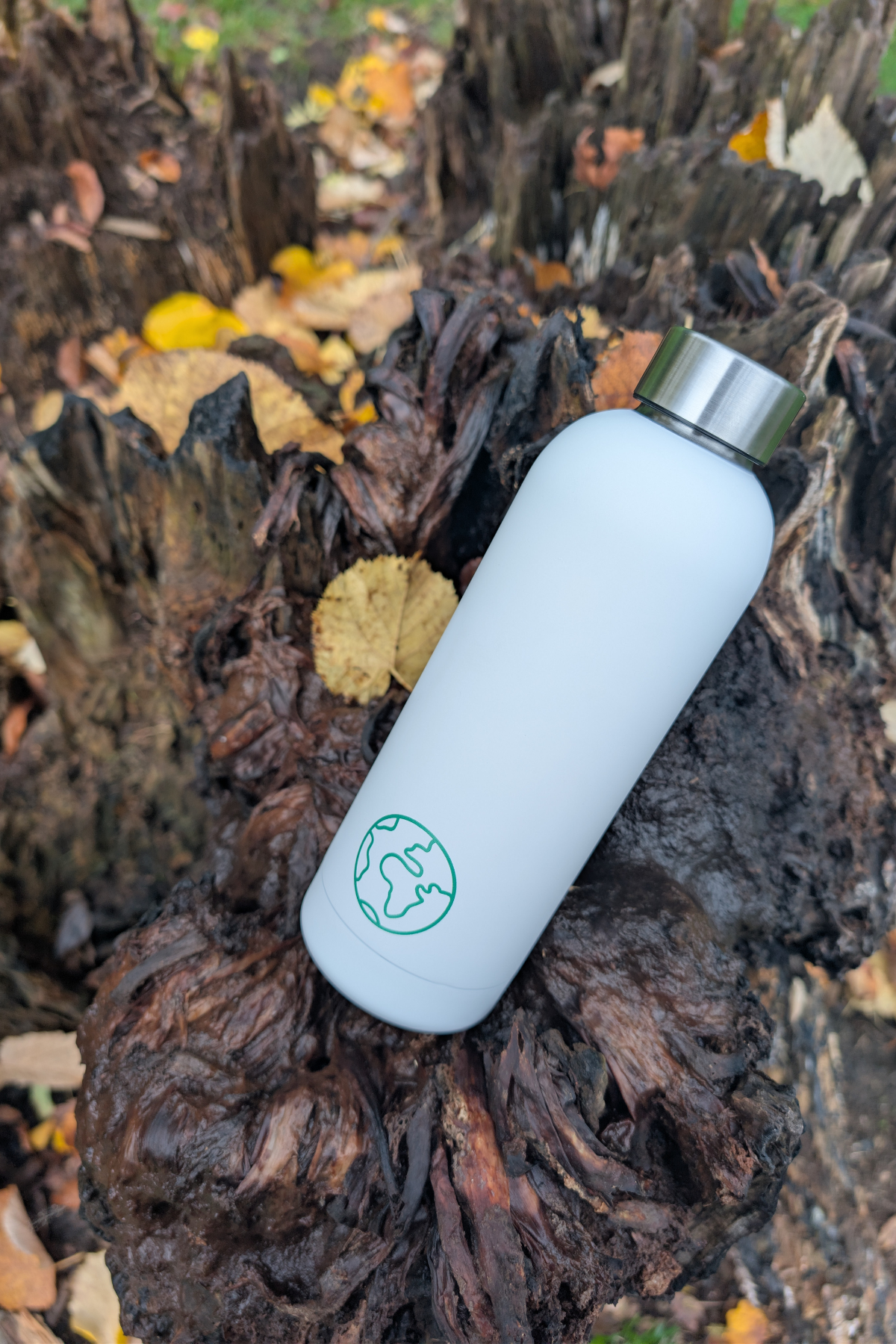 Reusable Bottle