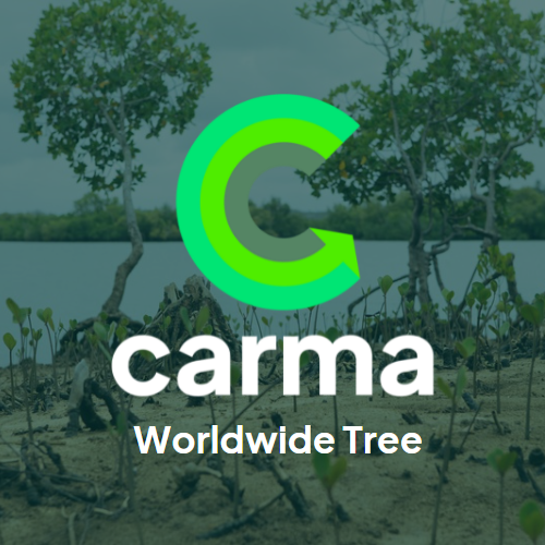 Carma - Worldwide Tree Donation Image