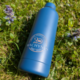 Celebrating Sustainability