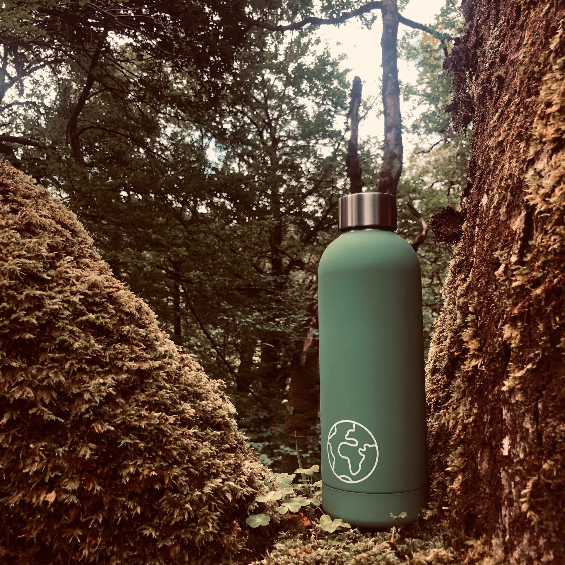 Reusable Bottle - Green image 0